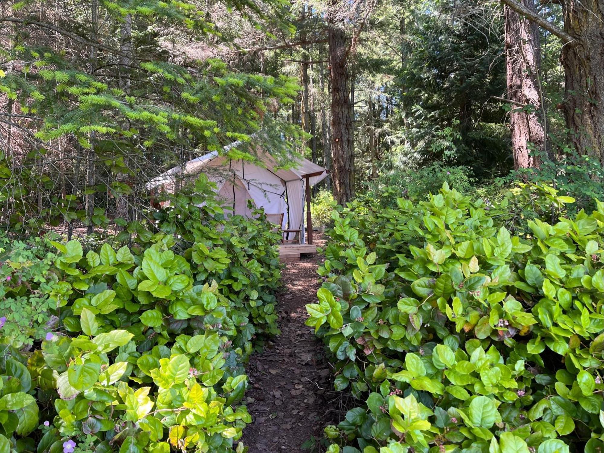 Lopez Farm Cottages&Tent Camping Lopez Island Extérieur photo